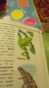 Создать мем: детеныши лягушек и жаб, жаба, зеленые страницы лягушка