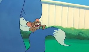Create meme: Tom and Jerry the cat and the puppy, Tom and Jerry my favorite puppy, Tom and Jerry cartoon 1992