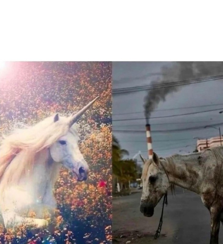 Create meme: memes about unicorns, unicorn prank, real unicorns