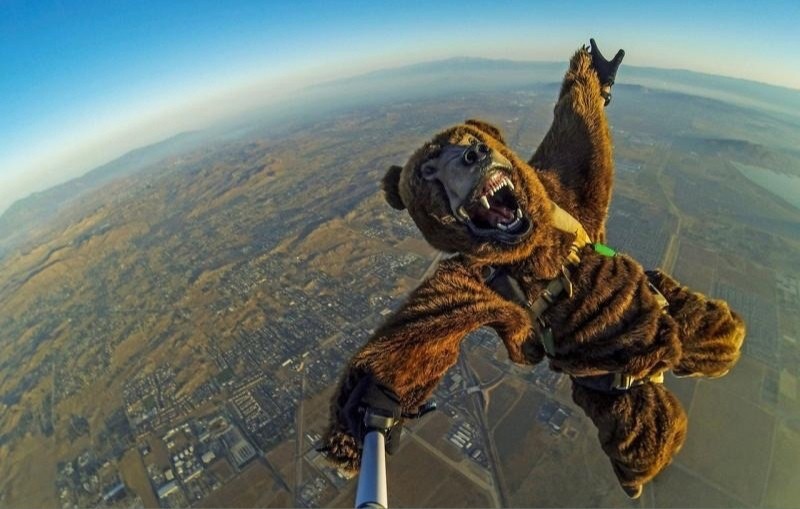 Create meme: The bear is flying, parachute jump, cat parachutist