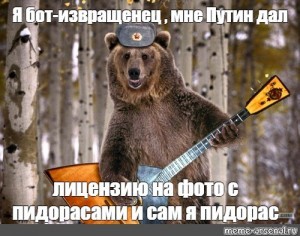 Создать мем: медведя, медведь в ушанке с балалайкой, медведь балалайка туристы
