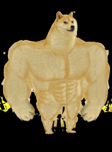 Create meme: dog Jock, buff doge, muscular doge meme