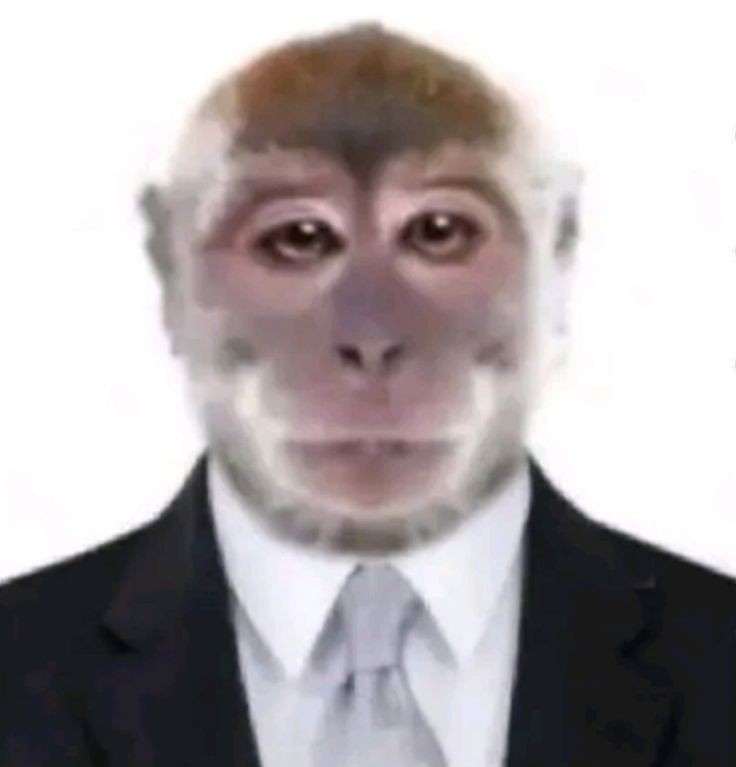 Create meme: peppa pig , bibizyana! , the monkey is funny