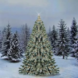 Создать мем: заснеженная новогодняя елка, нарядная елка в лесу, зимняя елка
