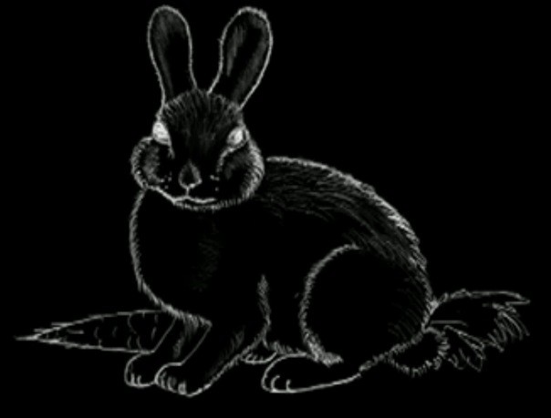 Create meme: rabbit black, black and white rabbit, biznespl