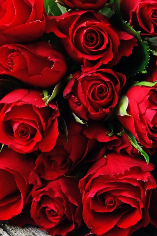 Create meme: red roses , red rose bouquet, beautiful roses 