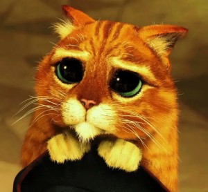 Create meme: the cat from Shrek GIF with eyes, I apologize, Shrek cat