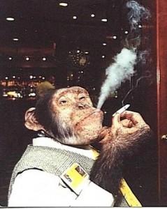 Создать мем: рождения, обезьяна курит, тайлер дёрден