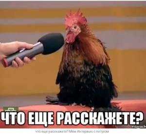 Create meme: cock fit, cock with microphone meme, cock with microphone