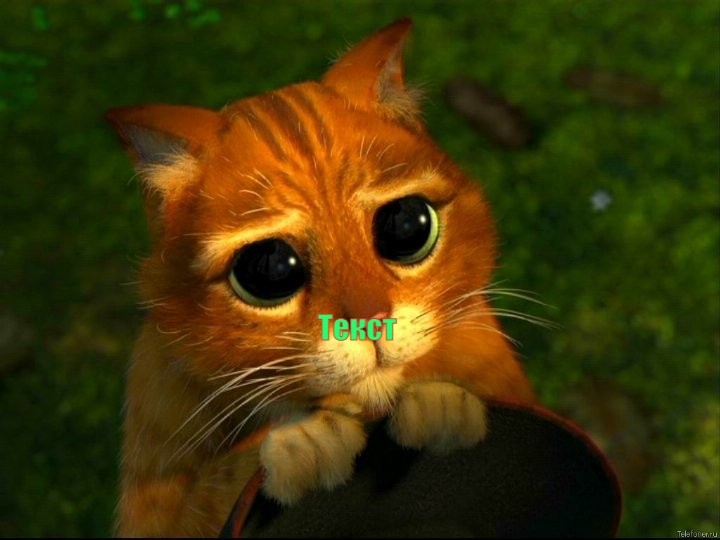 Create meme: shrek's cat look, cat Shrek eyes, meme the cat from Shrek