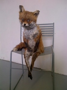 Create meme: Fox stuffed animal, a stuffed Fox meme, Fox on a chair in effigy