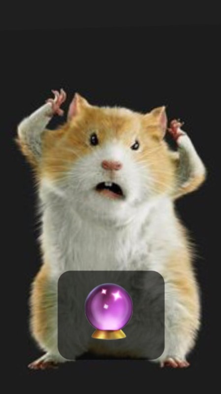 Create meme: angry hamster, evil hamster, hamster 