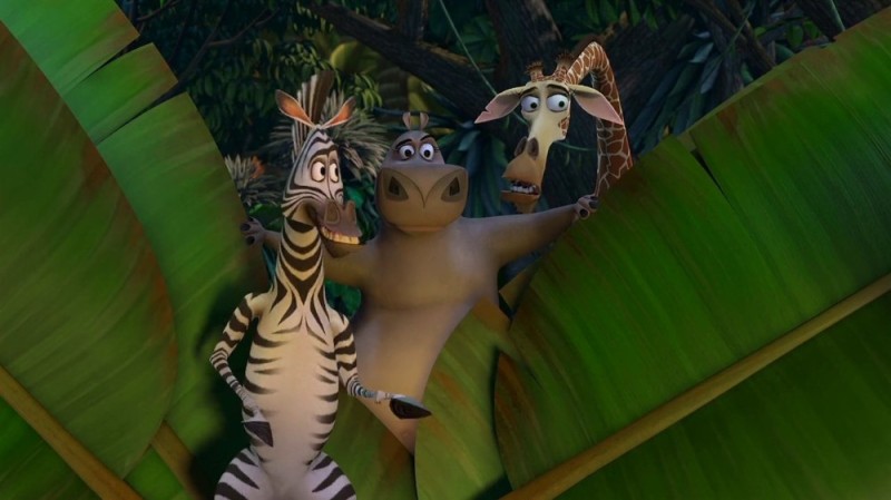 Create meme: Madagascar , Madagascar 2005, cartoon Madagascar