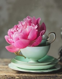 Создать мем: цветы в чашке, цветы красивые, розовая чашка с цветком на сером фоне