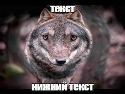 Создать мем: null