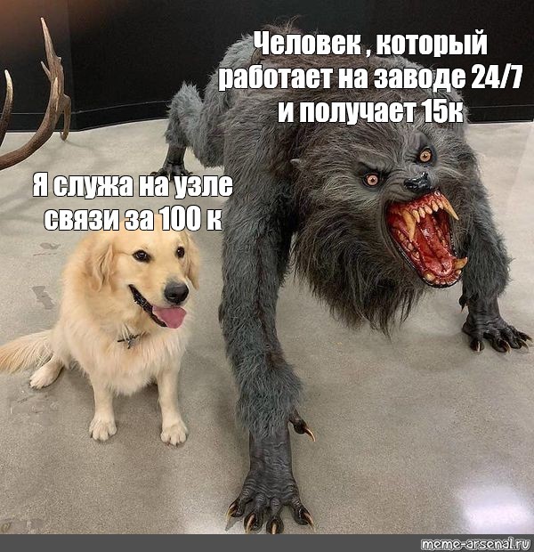 Создать мем: мем с милой собакой и оборотнем, собака мем, сильная собака мем