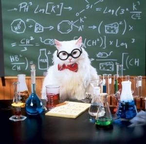 Create meme: chalk Board, chemistry cat, cat chemistry