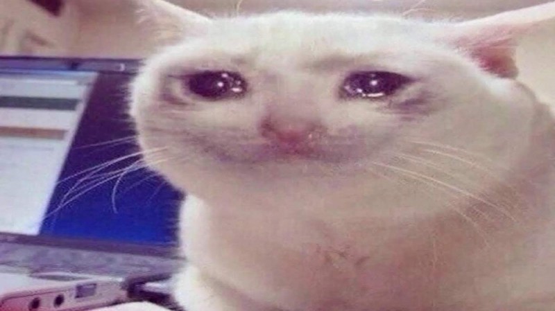 Create meme: crying cat meme original, cat meme , crying cat