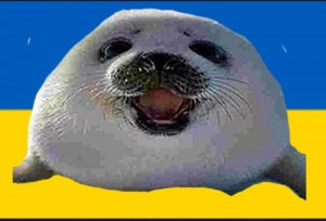 Создать мем: морские котики, белек тюлень, тюлень