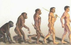 Create meme: human evolution, the theory of evolution