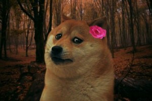 Создать мем: SAD DOGE GIRL