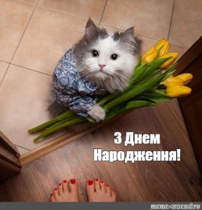 Создать мем: котик с цветочками, кот с цветами, кот дарит цветы
