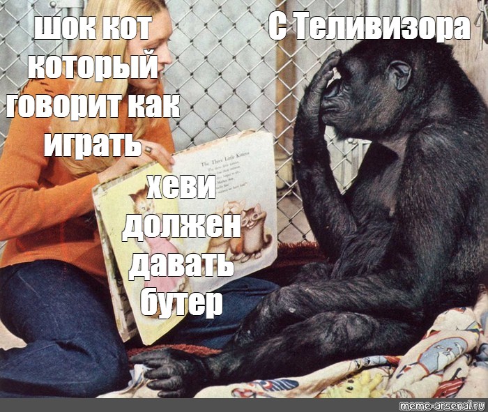 Горилла Коко. Шимпанзе в детстве. Обезьяна в шоке Мем. Шаблон Мем с мартышками. Woke memes