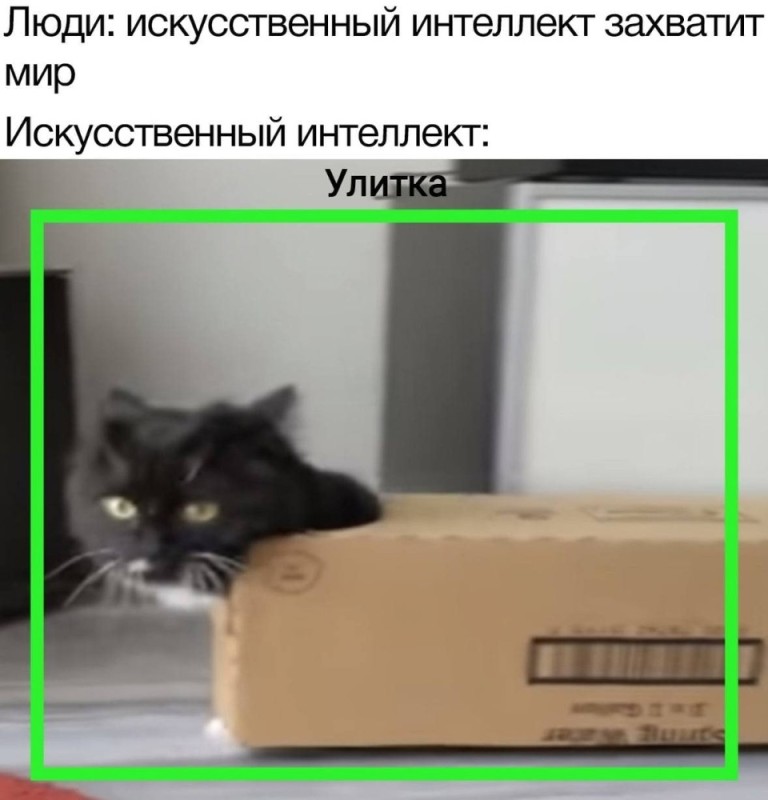 Create meme: cat , ai will soon take over the world meanwhile ai, fun with cats 