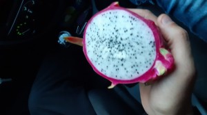 Create meme: pitahaya, dragon fruit, pitahaya dragon fruit