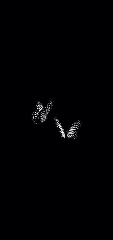 Create meme: butterflies on a black background, black background , the butterfly is black