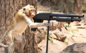 Create meme: a monkey with a gun, monkeys, militants