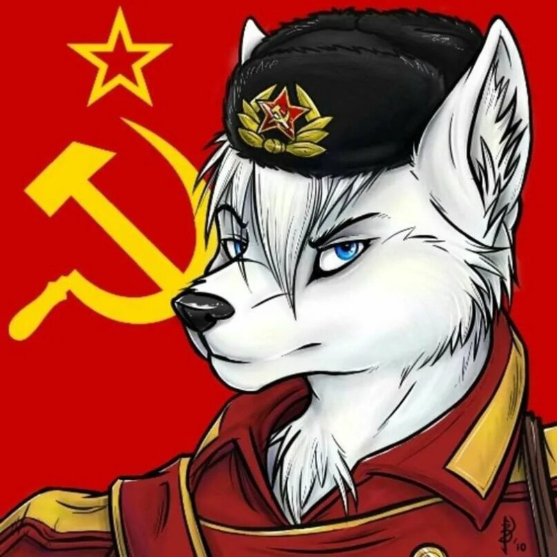 Create meme: furry soviet union, furry fox communist, furry wolf of the ussr