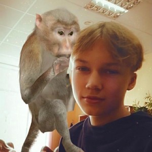 Создать мем: человек на фотографии, милая обезьянка, яванская макака