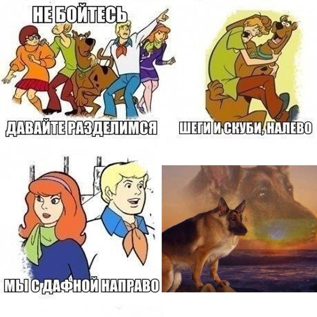Create Meme Funny Comics Scooby Doo Scooby Doo Pictures