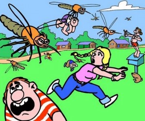Создать мем: первый день лета, укус комара, mosquito