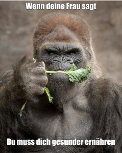 Create meme: the gorilla, harambe meme, monkey gorilla photo