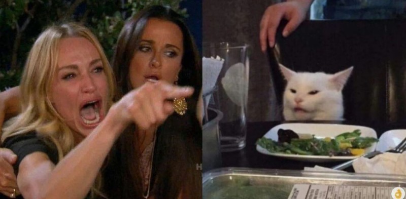 Create meme: memes with a cat at the table, girls and cat meme, meme with a cat and two women