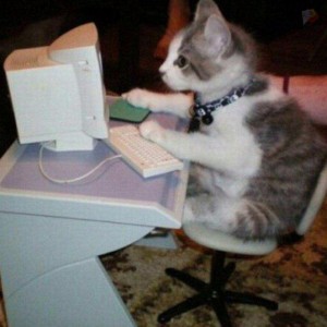 Create meme: Cat, kittens are sitting at the computer, the cat at the computer