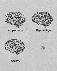 Создать мем: racism brain, brain size, your brain