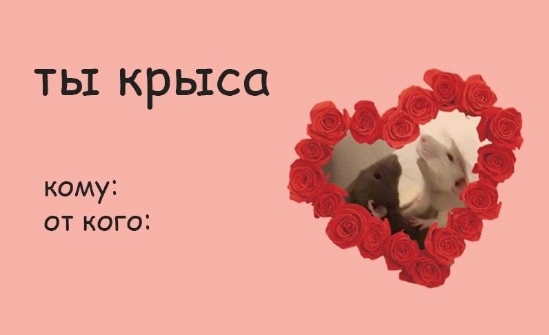 Create meme: Valentine with a rat, funny Valentines, we rats