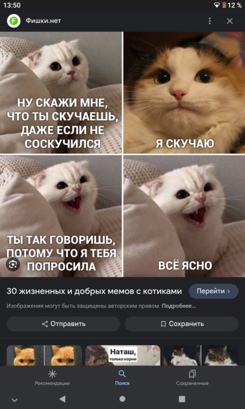 Создать мем: котик, смешные мемы с котами, мемы
