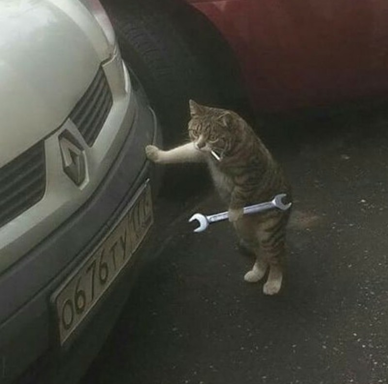 Создать мем: кот юмор, кот смешной, кот с гаечным ключом и сигаретой