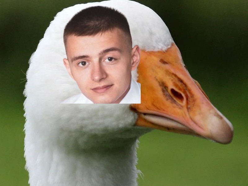 Create meme: goose , cool goose, beautiful goose