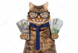 Create meme: funny cats, cat accountant png, Cat