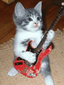 Создать мем: котёнок с электрогитарой, кот гитарист, котик с гитарой
