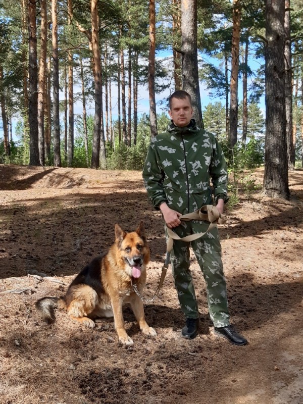 Создать мем: восточноевропейская овчарка пограничник, собака пограничник, зимняя охота