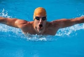 Create meme: butterfly swimmers torso, swimmer, pictures of the swimmers in the pool