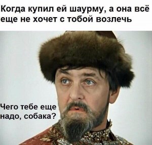 Создать мем: что ж тебе еще надо собака, чего тебе еще надо собака, иван iii васильевич