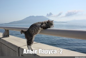 Создать мем: котенок отдыхает, хочу на море, кошка