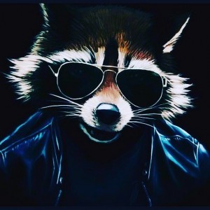 Create meme: meme raccoon with glasses, cool raccoon, raccoon art